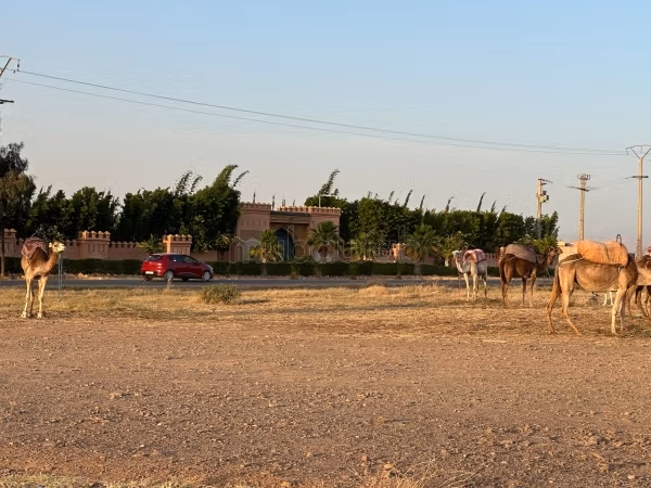 Sale of land in Ourika. Area 10,000 m²