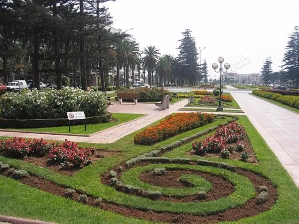 Apartamento de alto standing en venta 69 m² Proyecto Mfadel