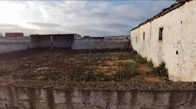 Tierra candidata en Beni Suef