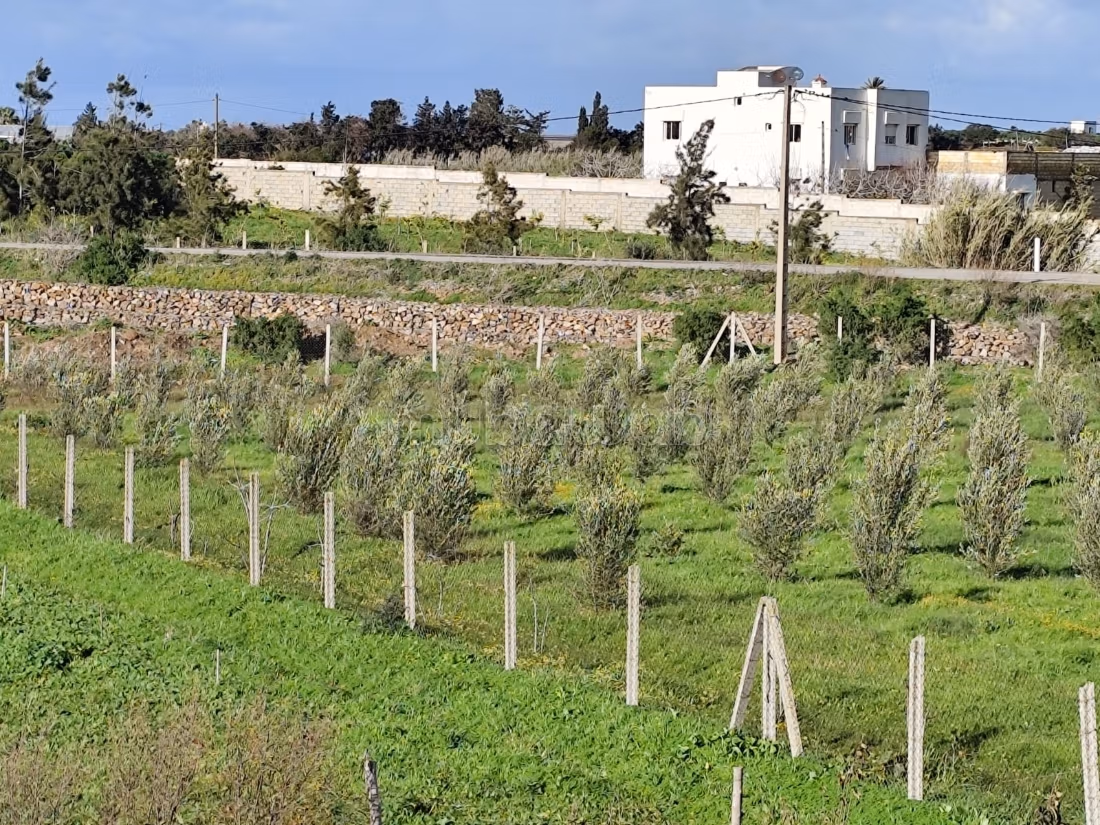 Bella granja titulada en venta cerca de Bouznika