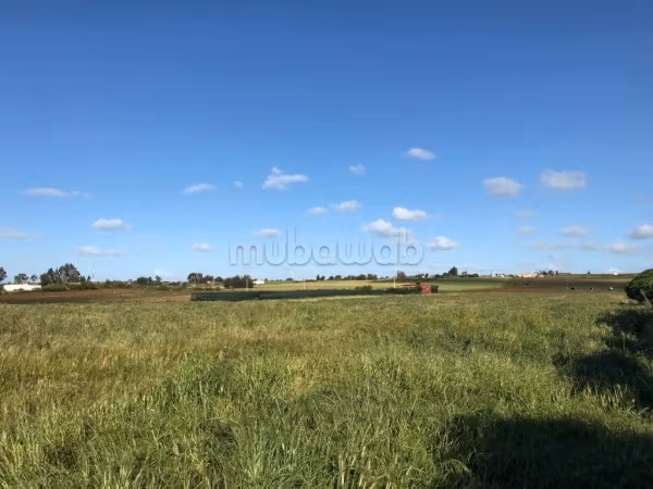 Venta de Terreno de 2H Titulado en Sidi Hamou