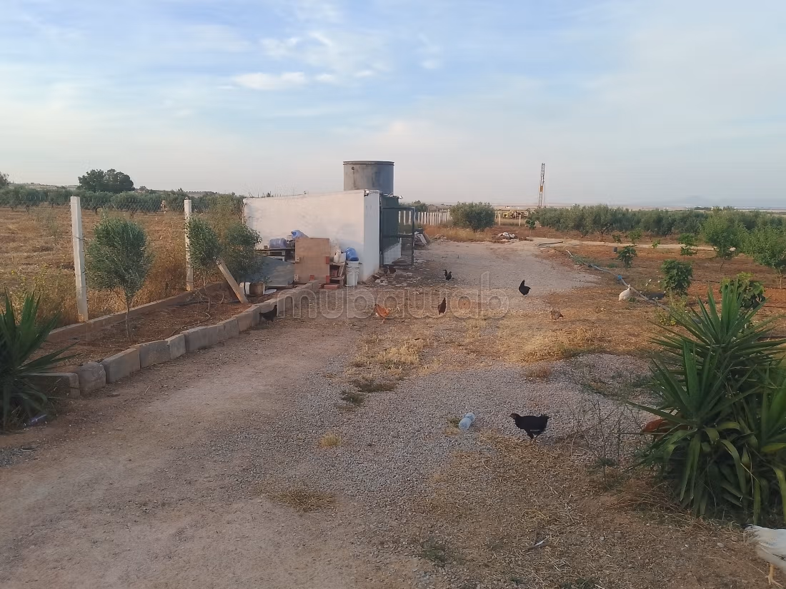 Agréable ferme à vendre. 
Surface de 16000 m²