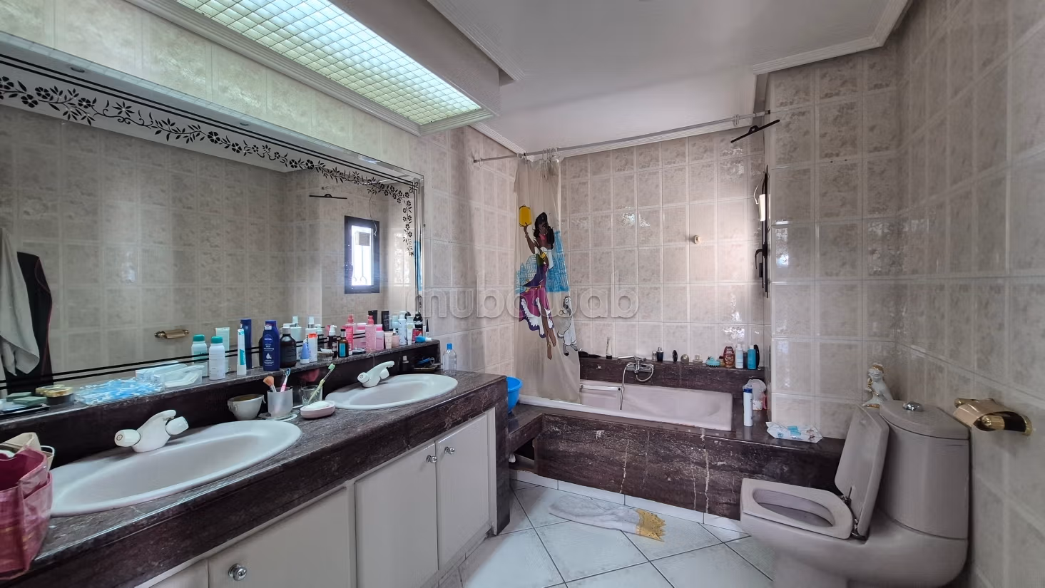 A vendre duplex 538m2 Racine