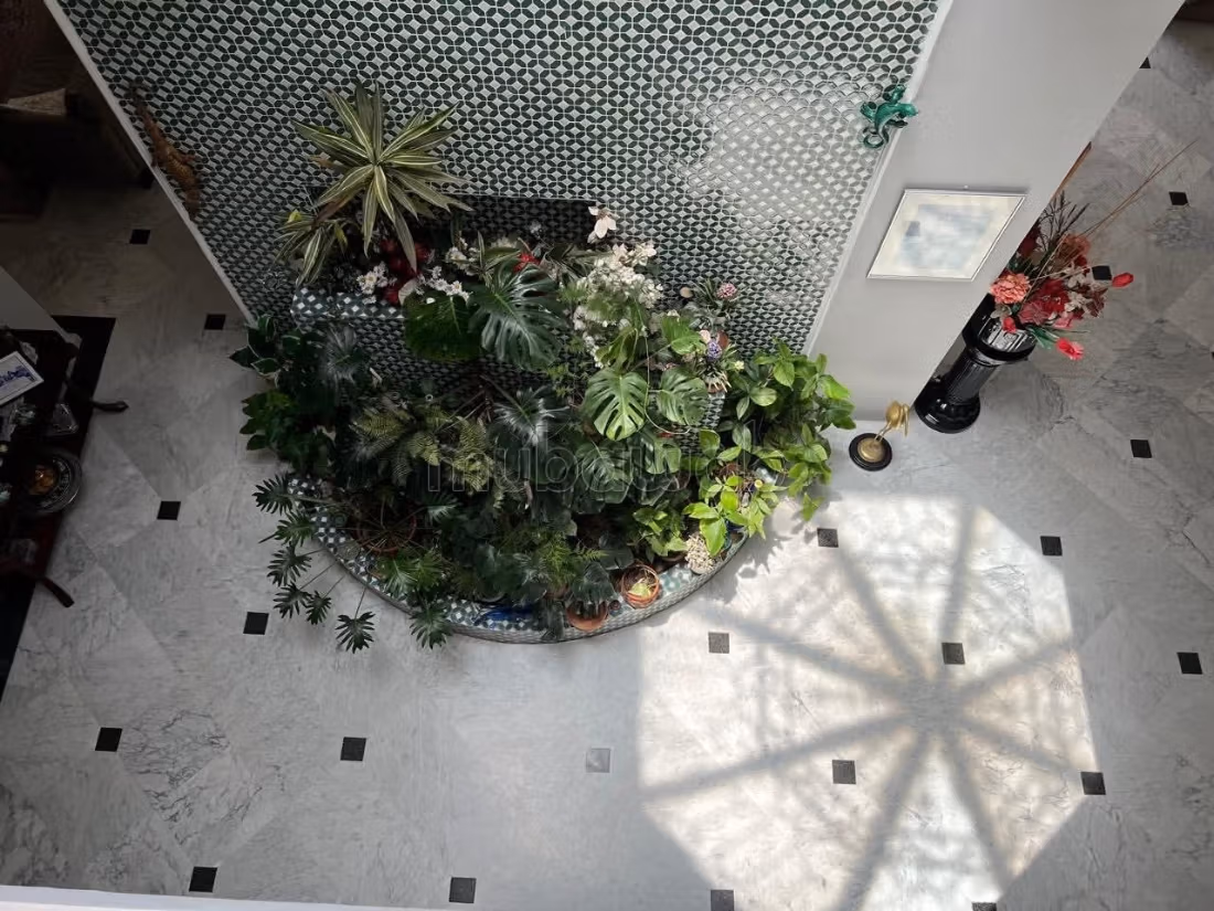 A vendre duplex 538m2 Racine