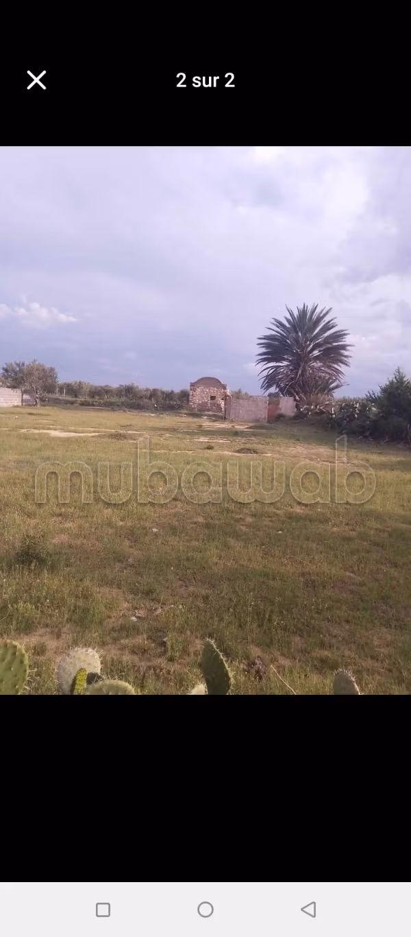 Terrain nu de 1000 m2