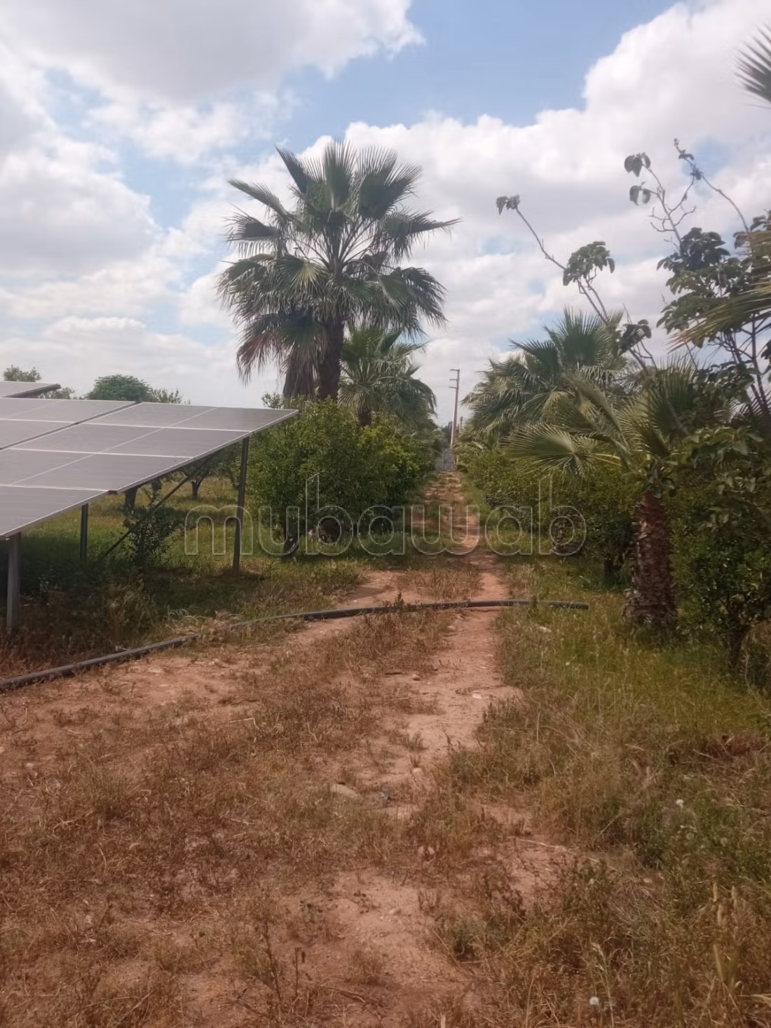 Ferme merveilleuse à vendre à Ouled Hassoune Hamri. Surface totale de 2 m²