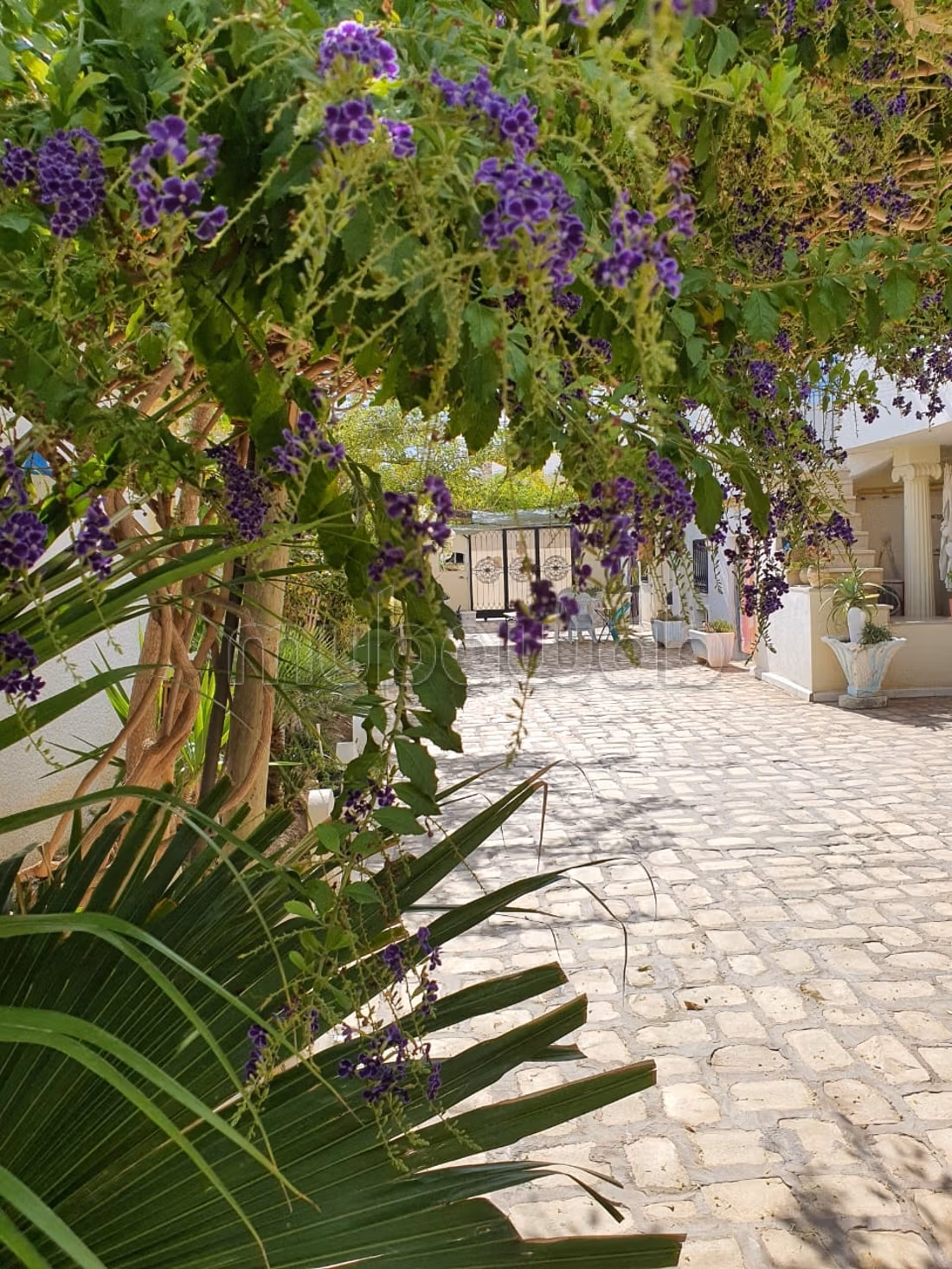 VILLA PIEDS DANS L'EAU EL KANTAOUI