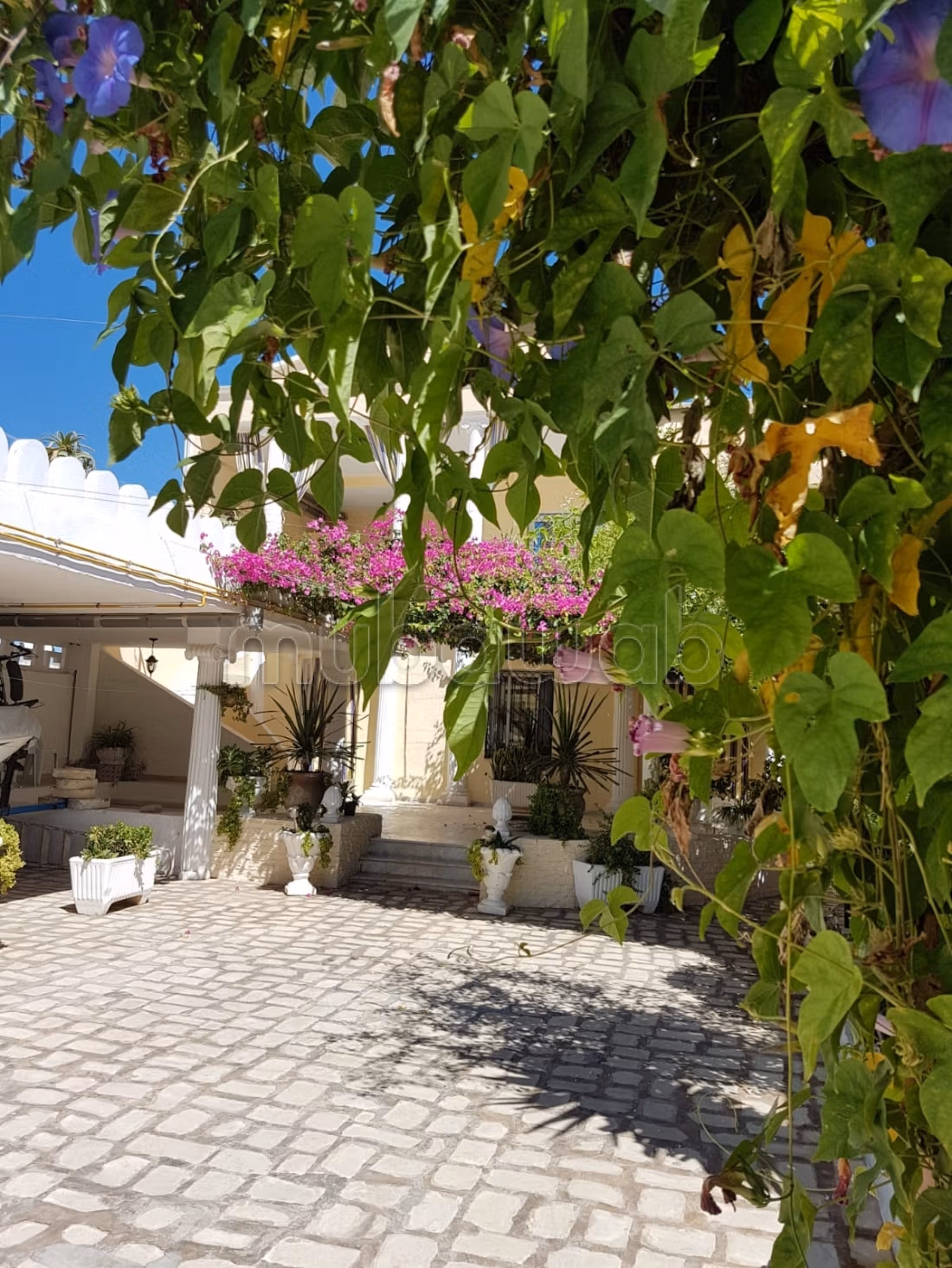 VILLA PIEDS DANS L'EAU EL KANTAOUI