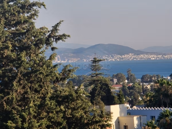 Villa de haut standing vente à carthage hannibal