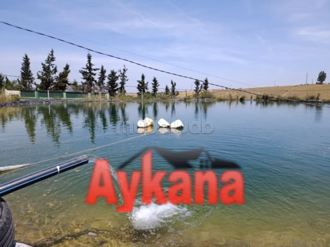 Venta de Granja en Exclusividad en Tiflet