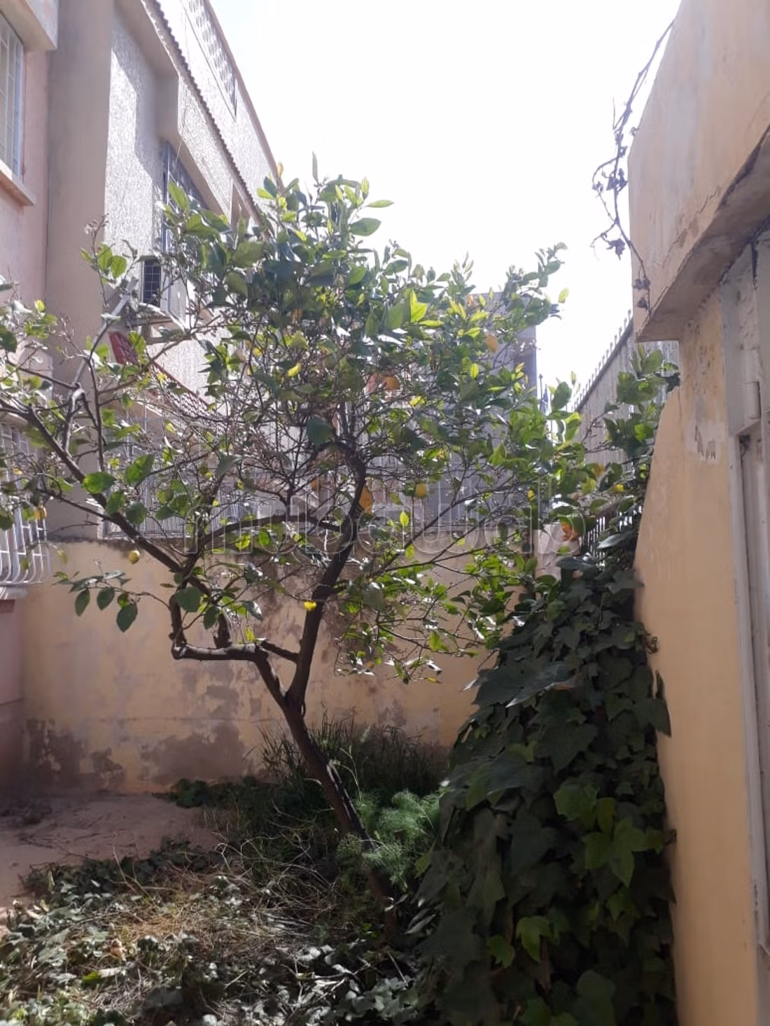 Villa a doppia facciata