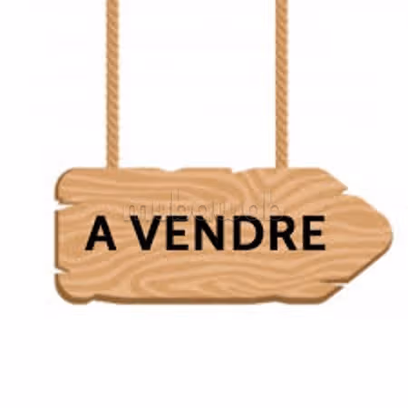 Vente local commercial de 300 m2 a Mutuelleville