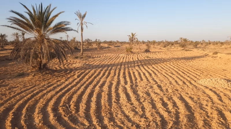 Mellita Djerba terrain 4000m² جربة