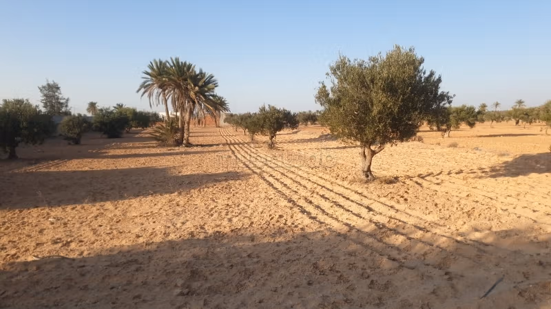 Terrain à vendre 4200 m² à Mezrane Djerba جربة