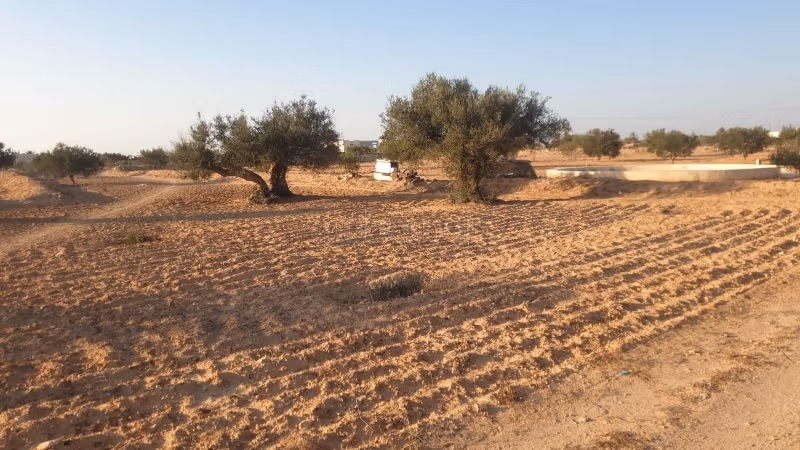 Terrain 1800 m² à Djerba Bousmaiel – جربة