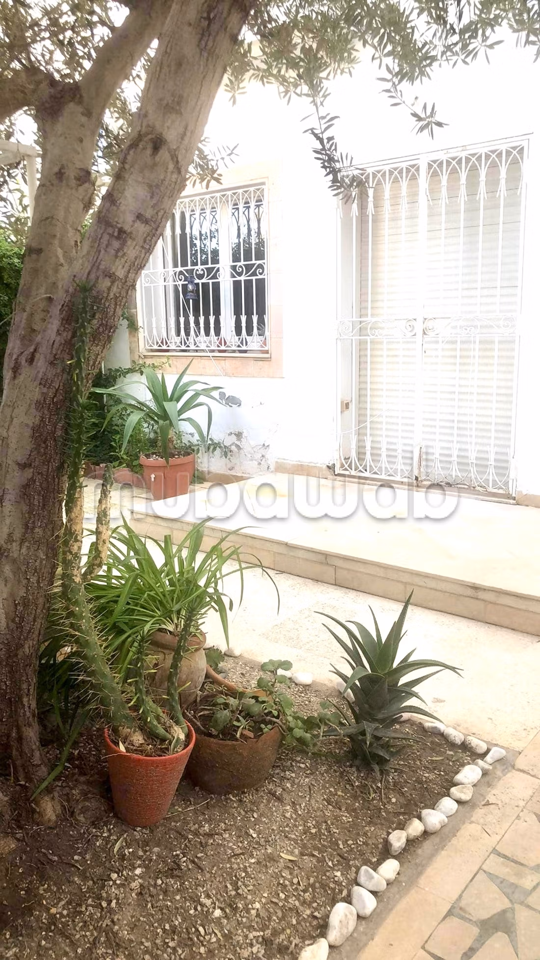 Duplex for rent in La Marsa