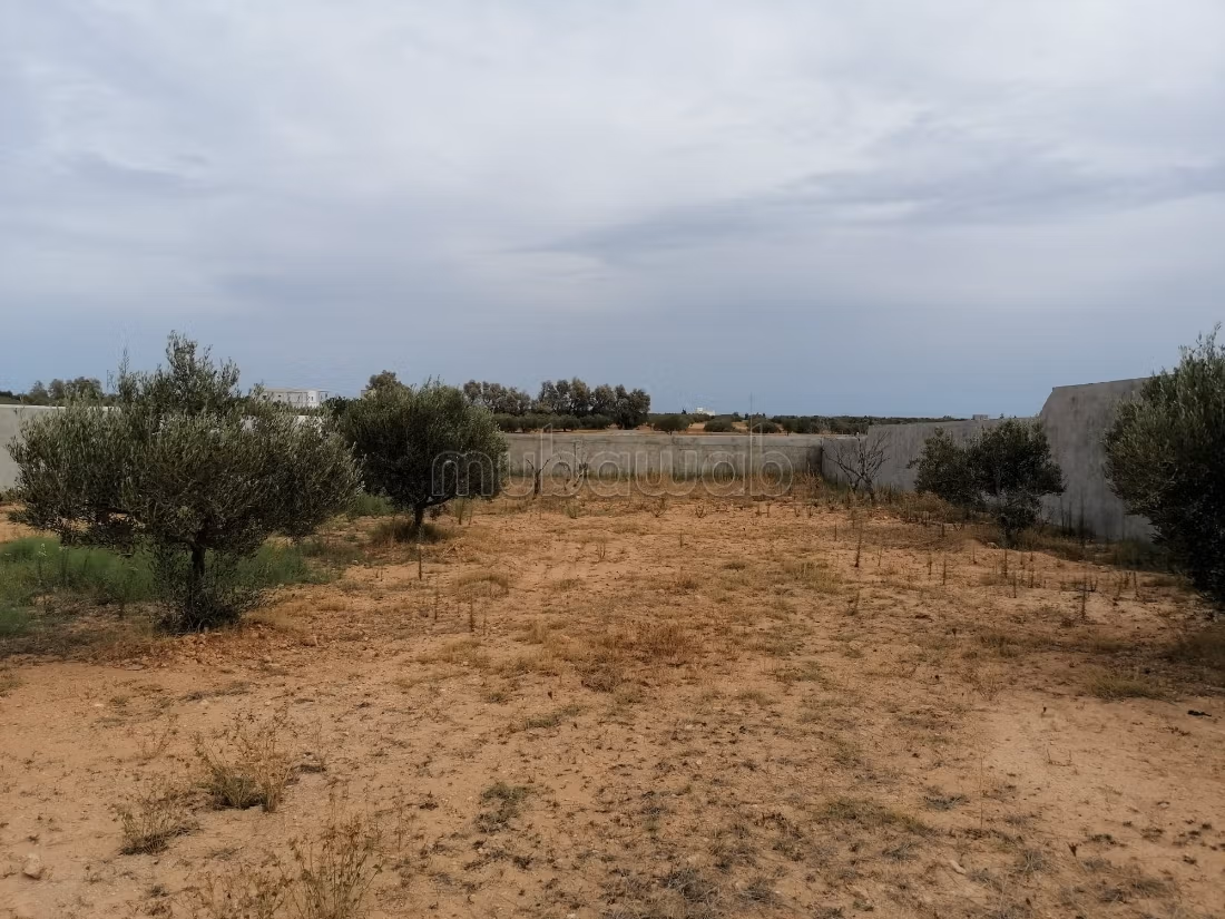 Terreno magnifico a Hammamet sud