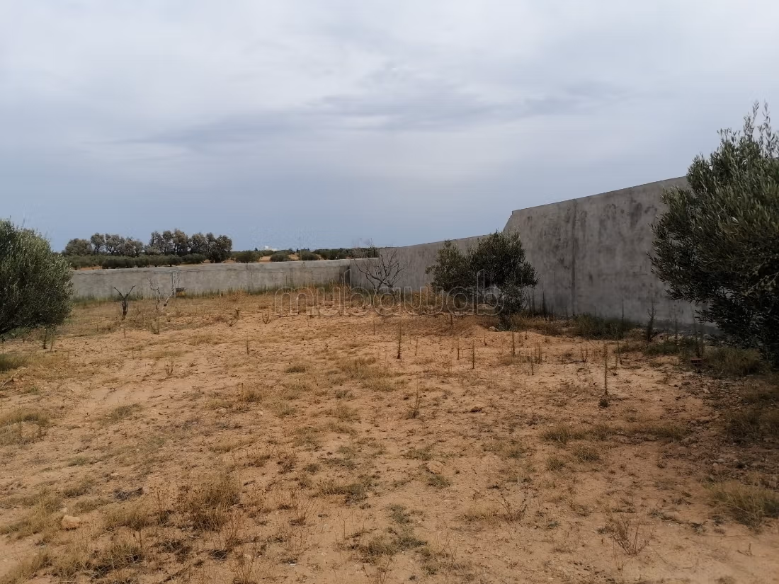 Terreno magnifico a Hammamet sud