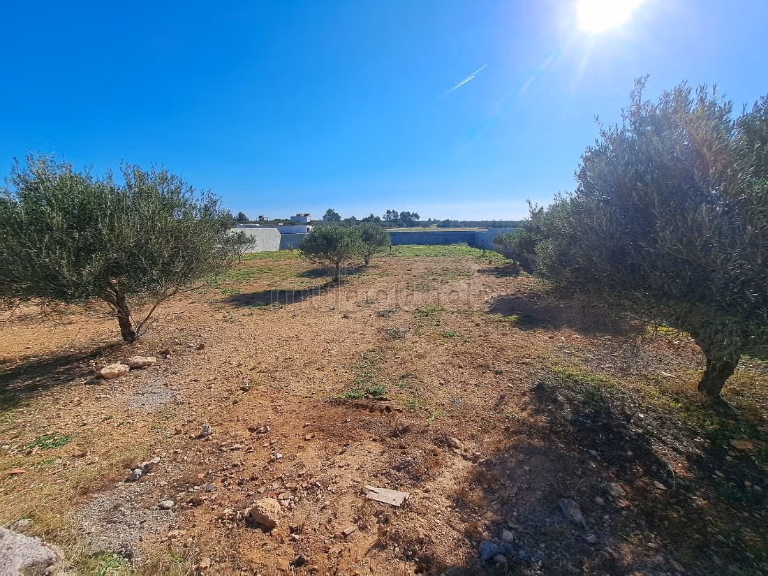 Terreno magnifico a Hammamet sud
