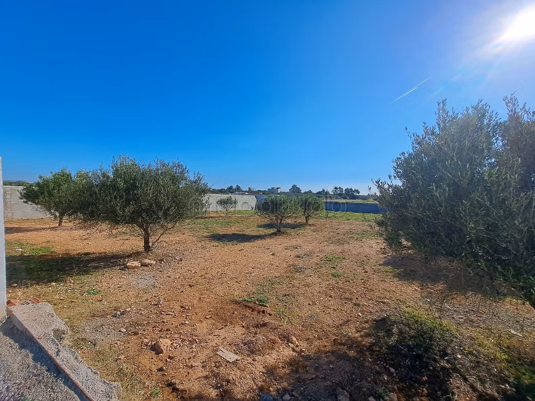 Terreno magnifico a Hammamet sud