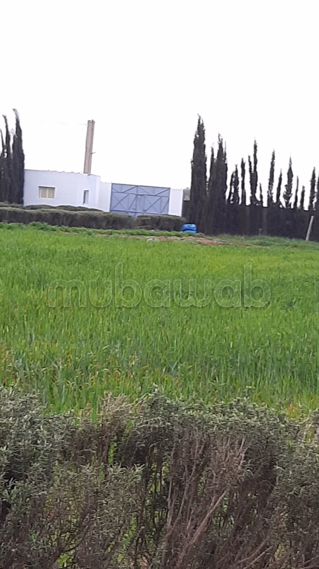 Hermosa granja en venta en Sidi Rahal Beach. Área 7500 m²