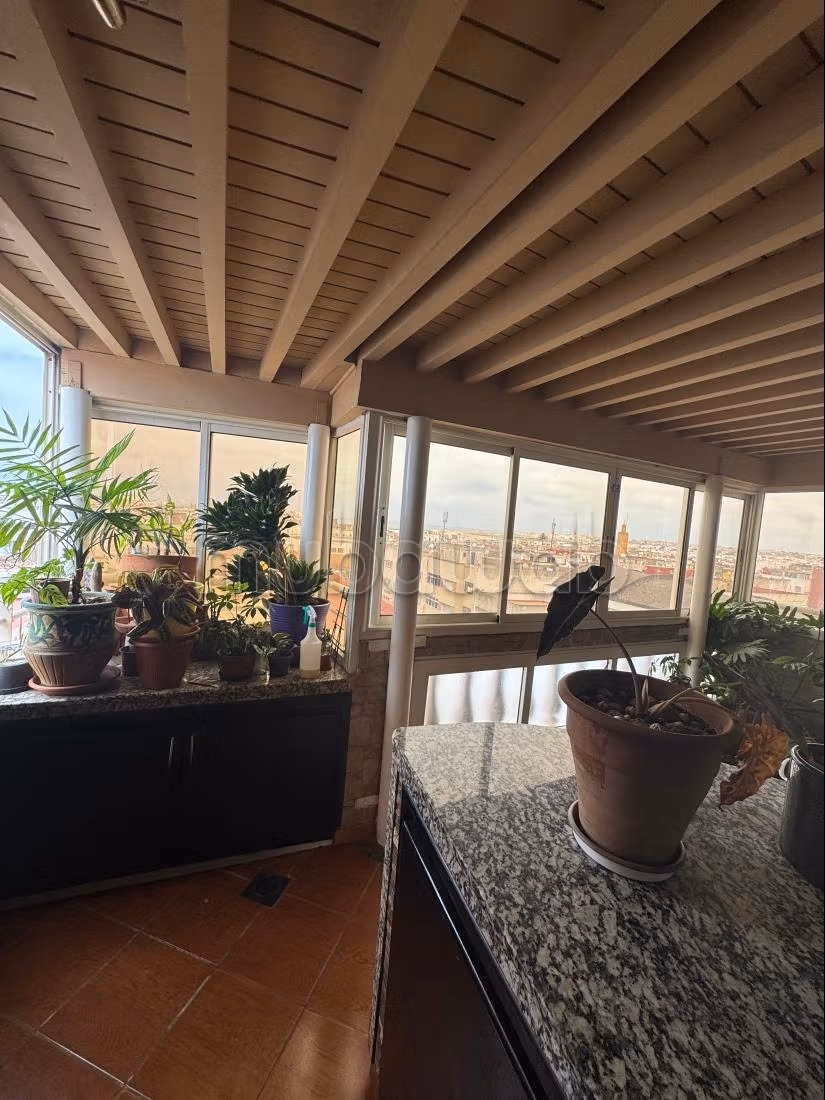 Apt a vendre hassan belles terrasses — 3
