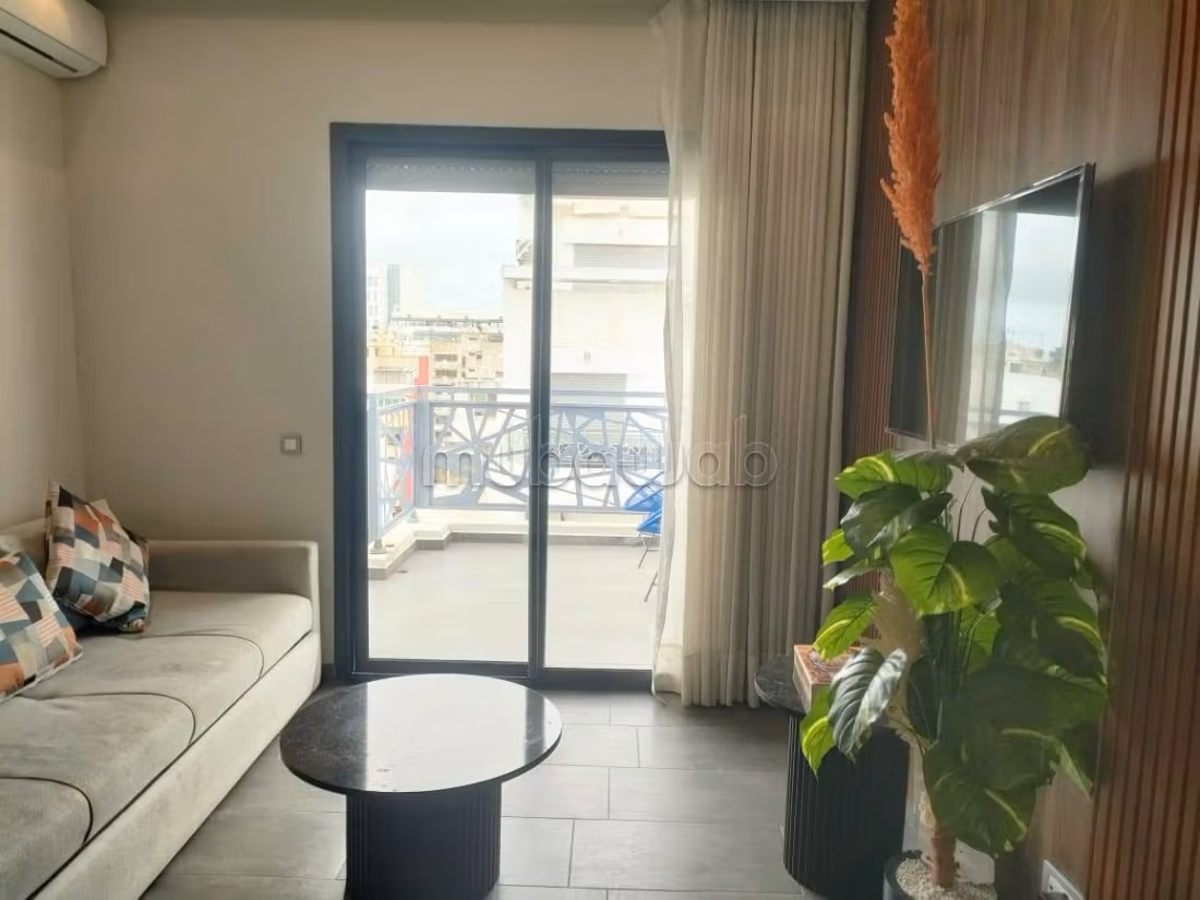 Studio terrasse meublé 50m²
Hôpitaux TRAWAY — 3