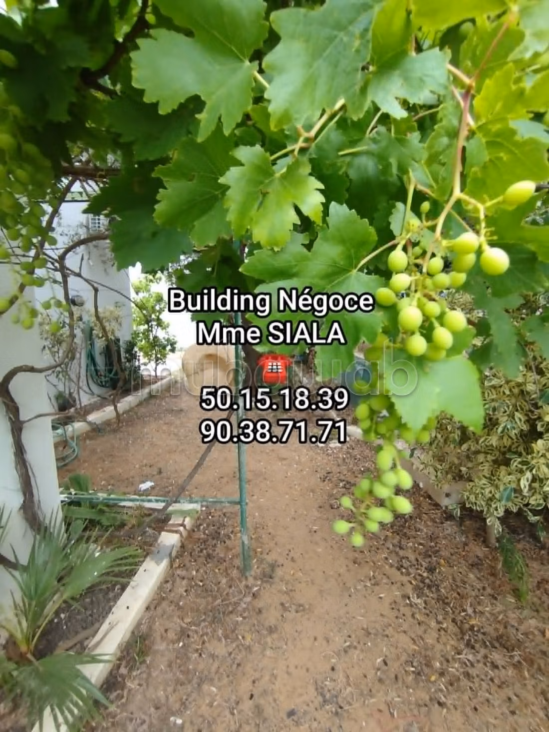 Ennasr 2; in affitto appartamento s4 con giardino grande