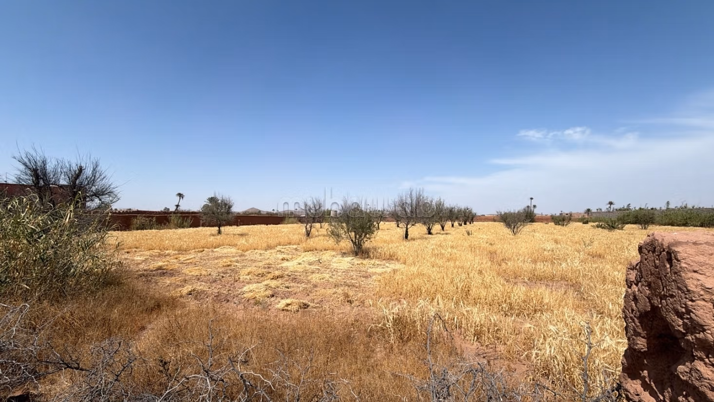 Perceel van 7000 m² getiteld op 20 km van Marrakech