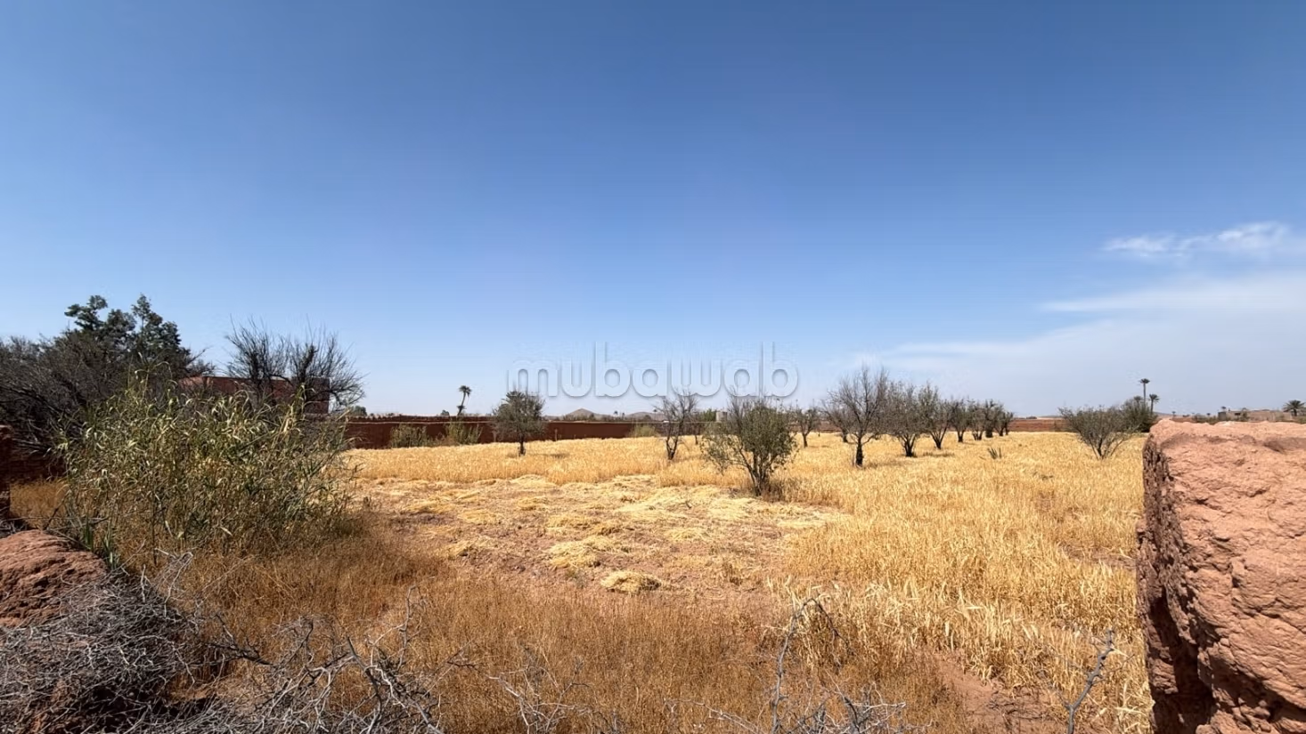 Perceel van 7000 m² getiteld op 20 km van Marrakech