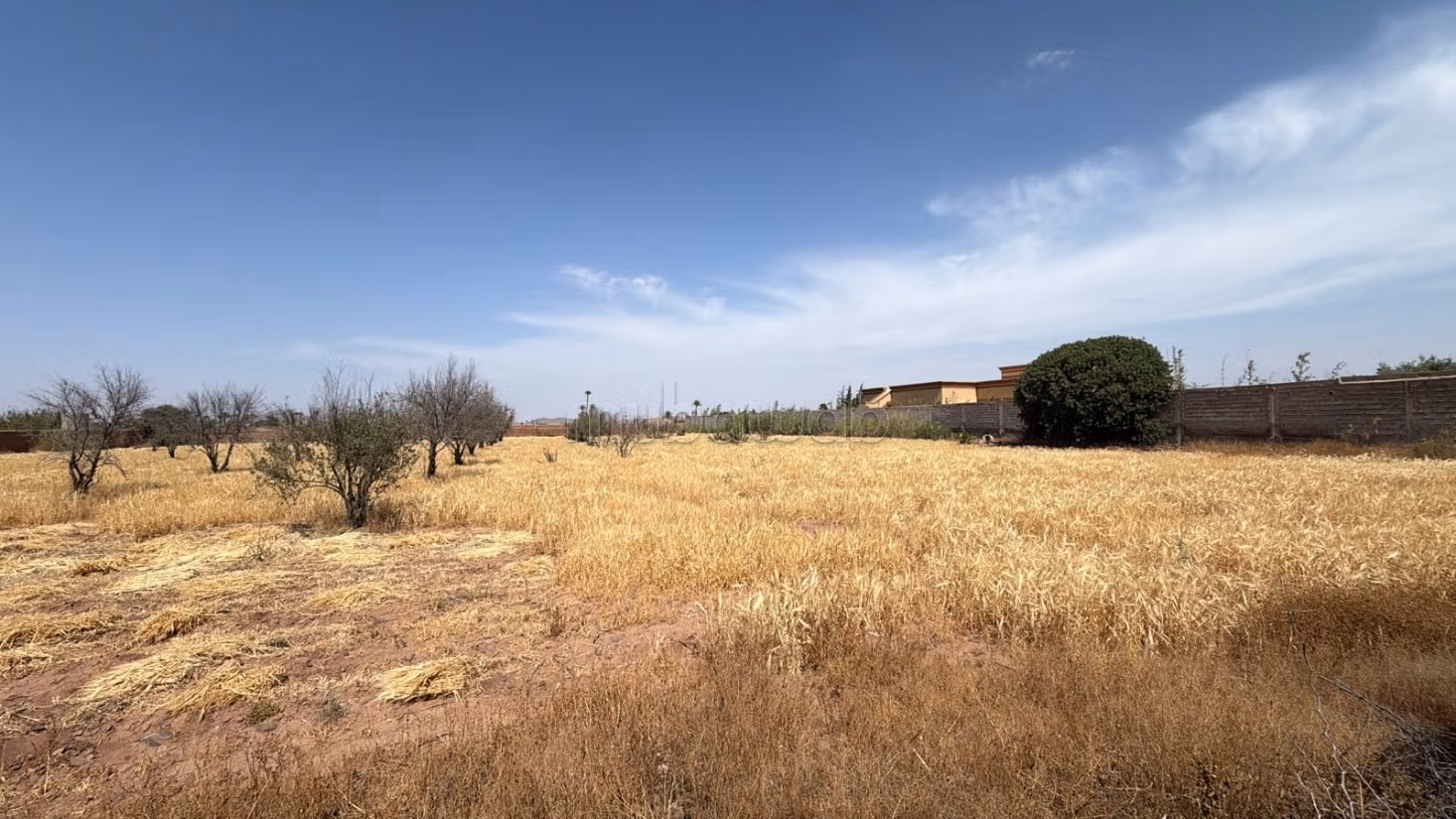 Perceel van 7000 m² getiteld op 20 km van Marrakech