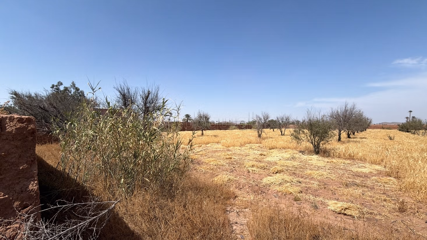 Perceel van 7000 m² getiteld op 20 km van Marrakech