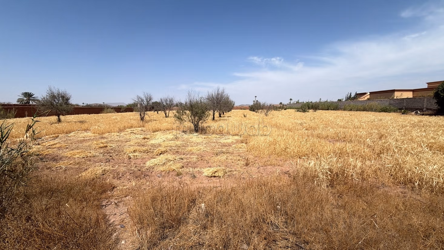 Perceel van 7000 m² getiteld op 20 km van Marrakech