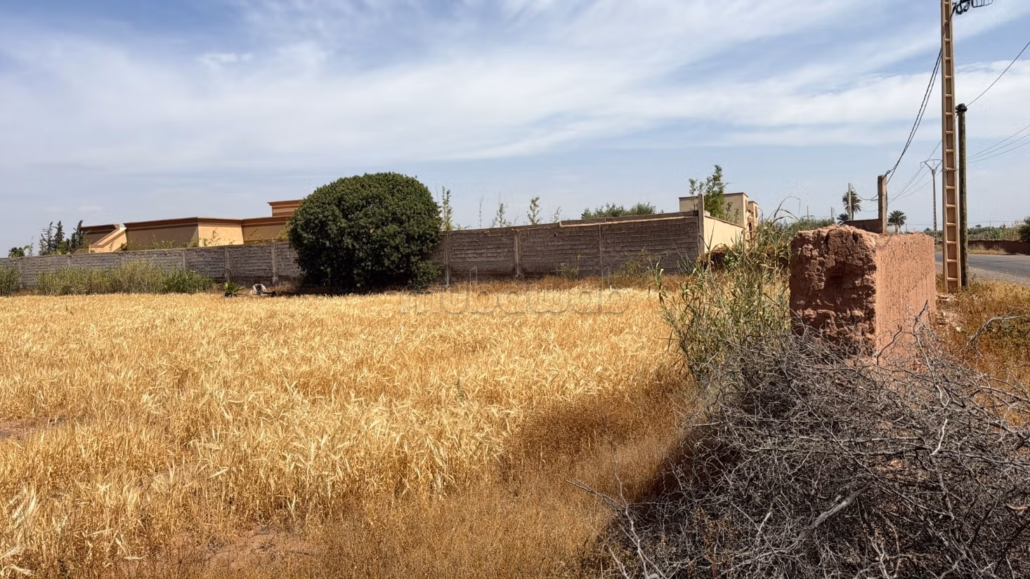 Perceel van 7000 m² getiteld op 20 km van Marrakech