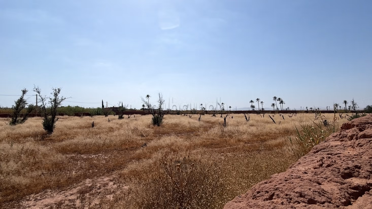 Perceel van 15.000 m² met eigendomstitel op 20 km van Marrakech