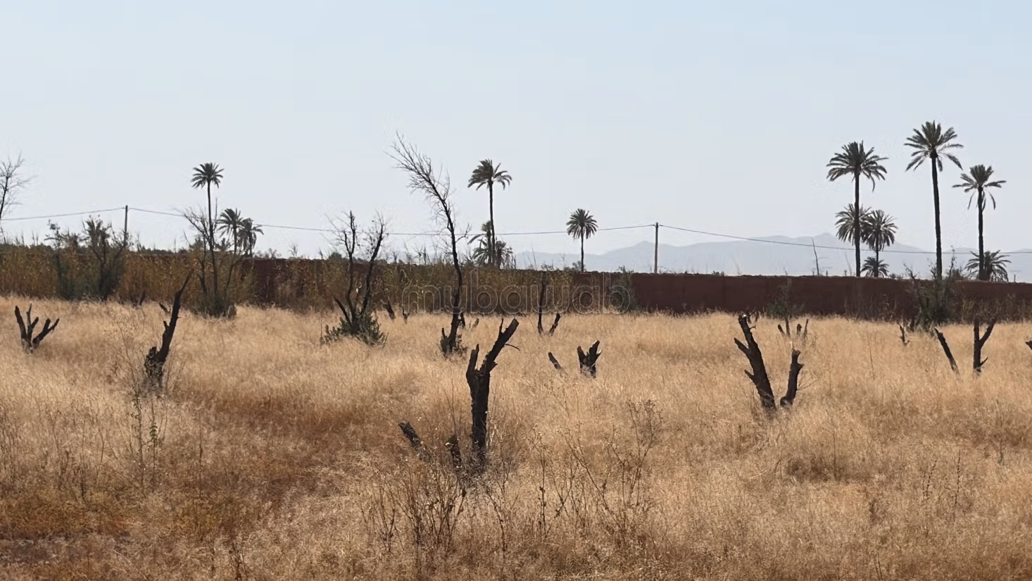 Perceel van 15.000 m² met eigendomstitel op 20 km van Marrakech