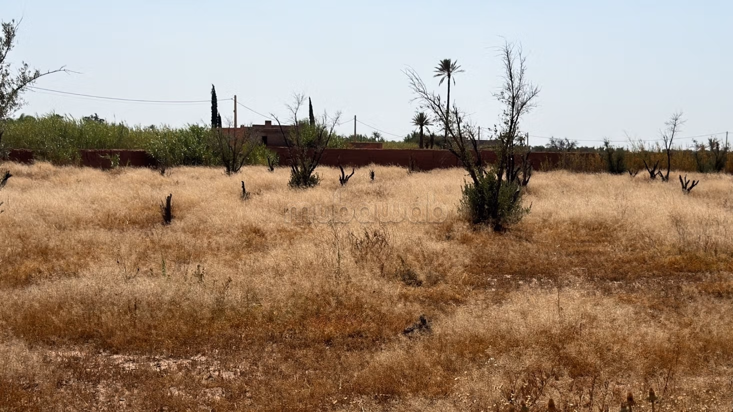 Perceel van 15.000 m² met eigendomstitel op 20 km van Marrakech
