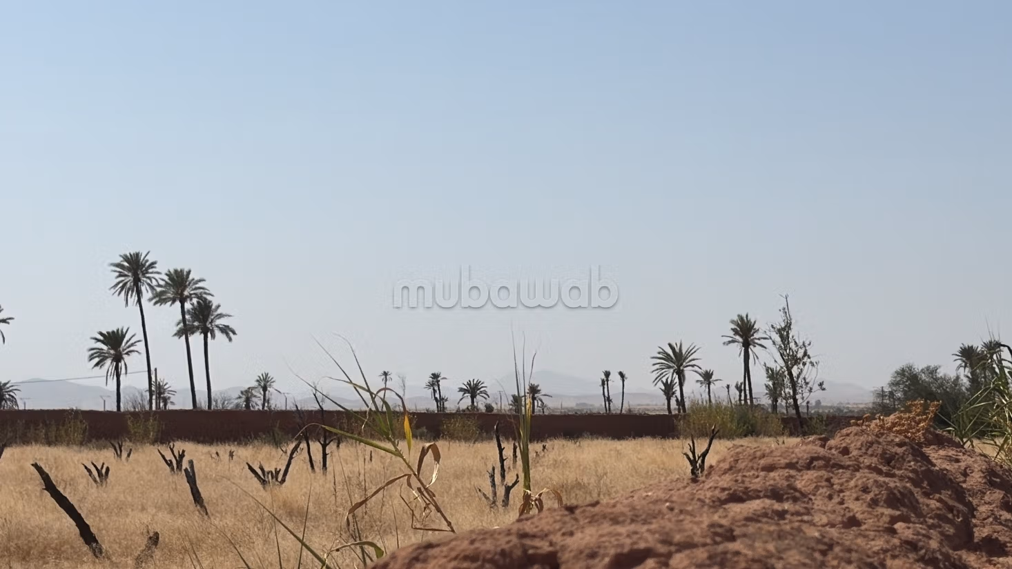 Perceel van 15.000 m² met eigendomstitel op 20 km van Marrakech