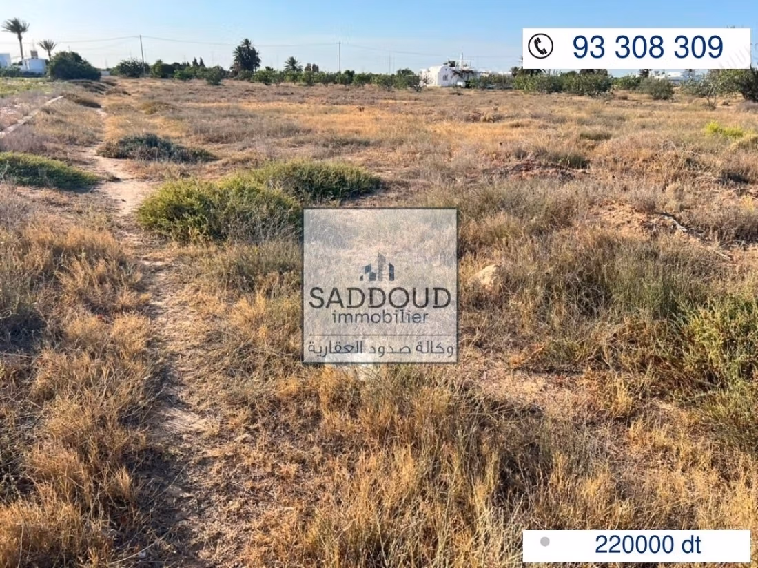 Terrain4000M à vendre – Route Gabès KM 17