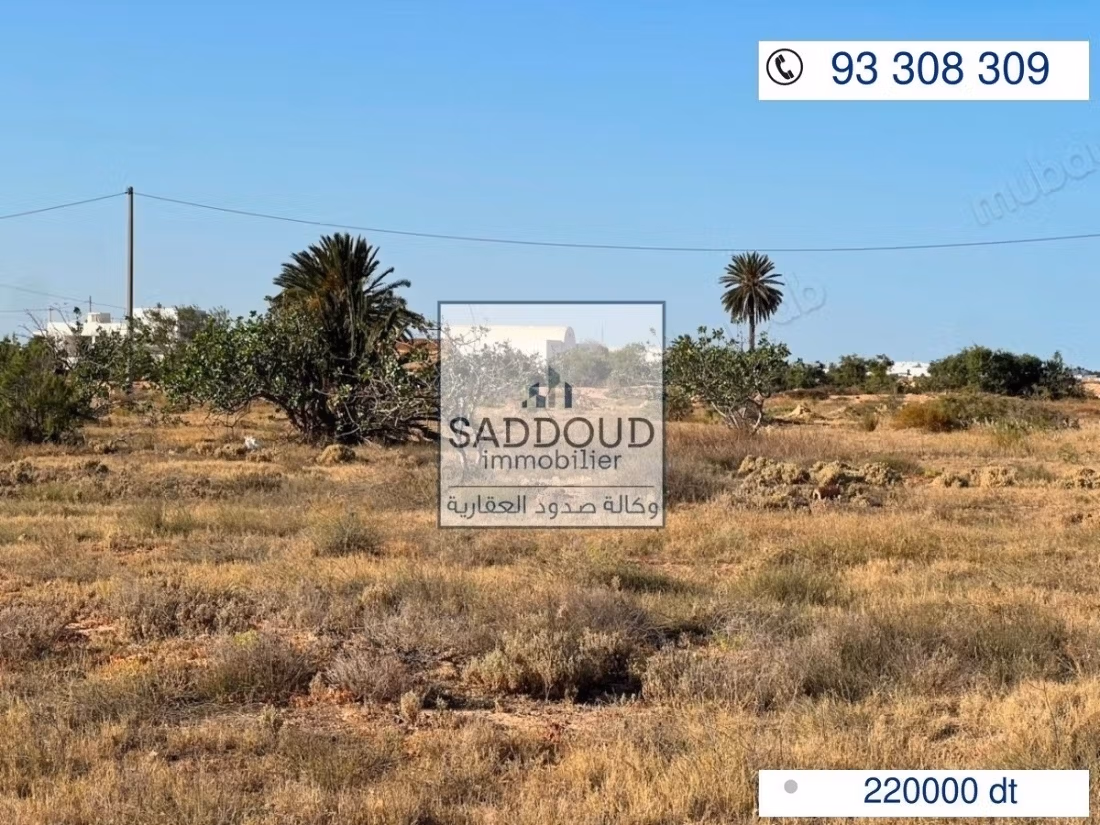 Terrain4000M à vendre – Route Gabès KM 17