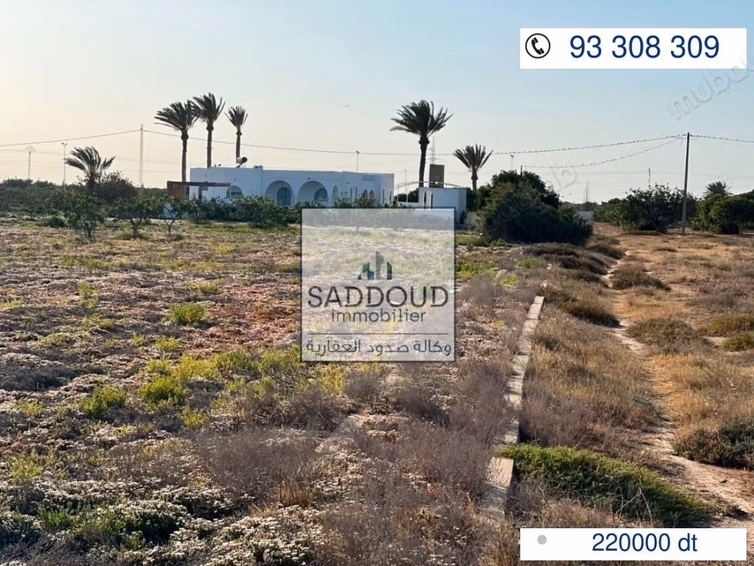 Terrain4000M à vendre – Route Gabès KM 17