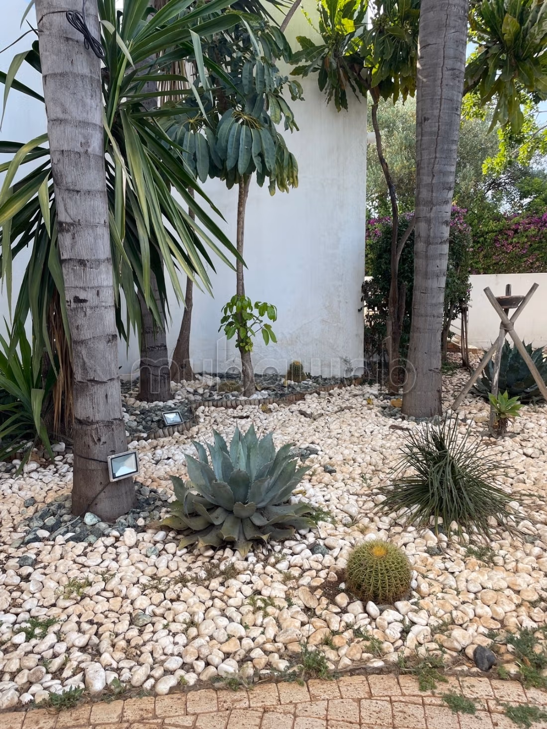 À vendre villa 2000m et 5ch 3sl à californie