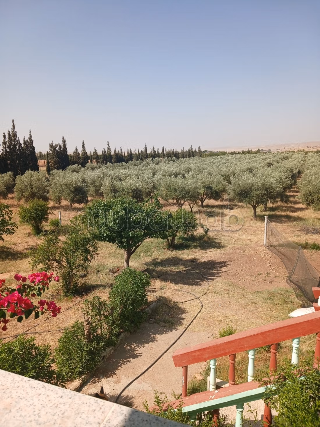 Granja agrícola titulada/equipada en venta
