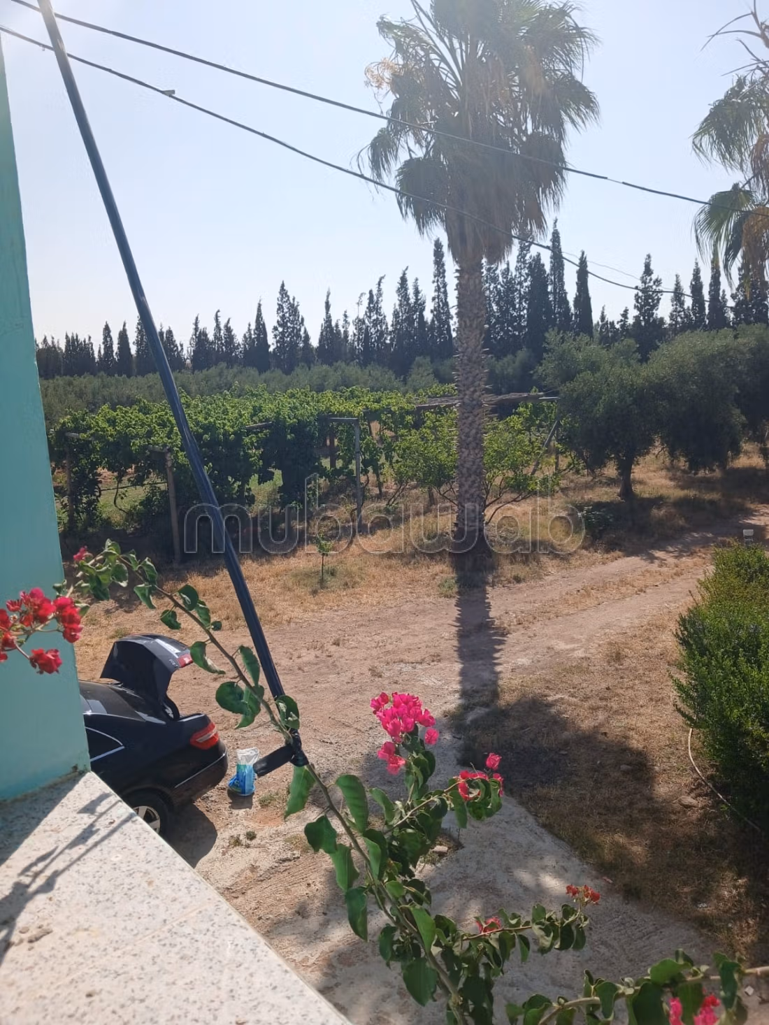 Granja agrícola titulada/equipada en venta