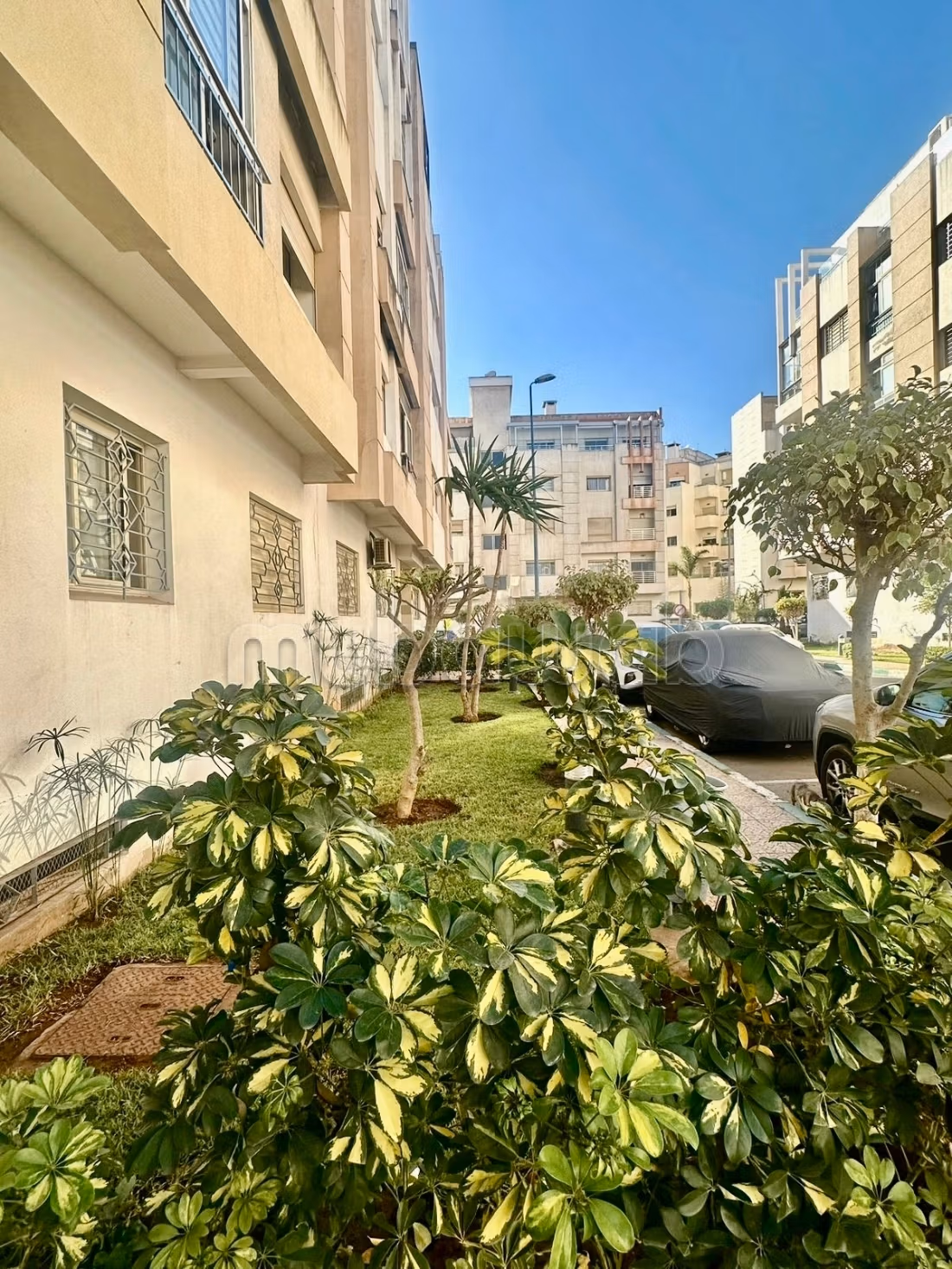 Appartement 120 m² f Californie — 8