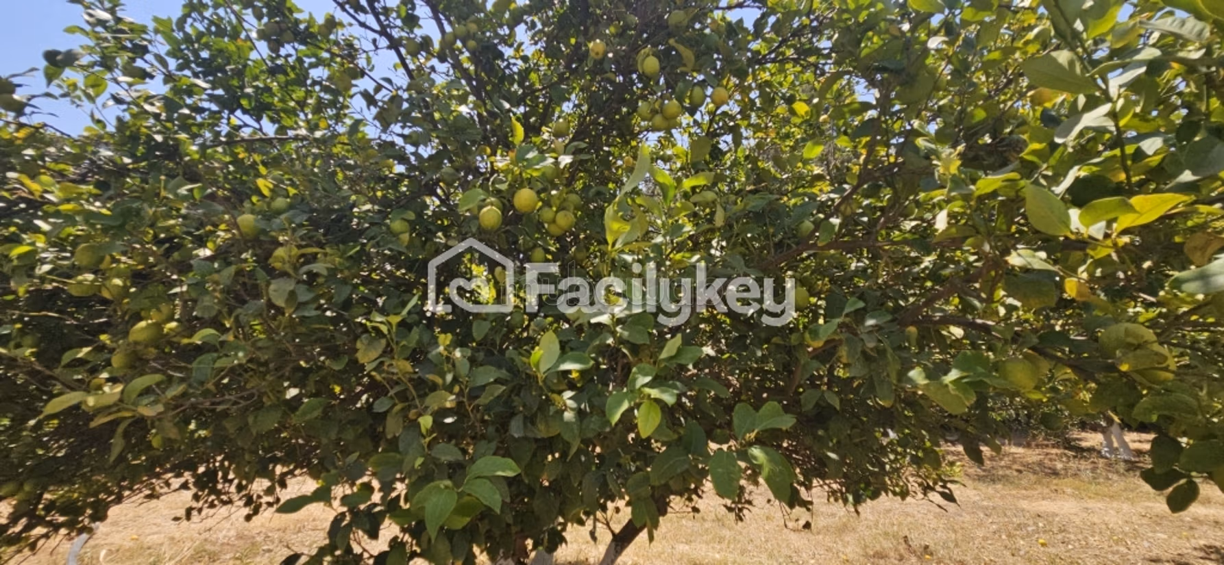 Finca de 10,332 m² en Berrechid