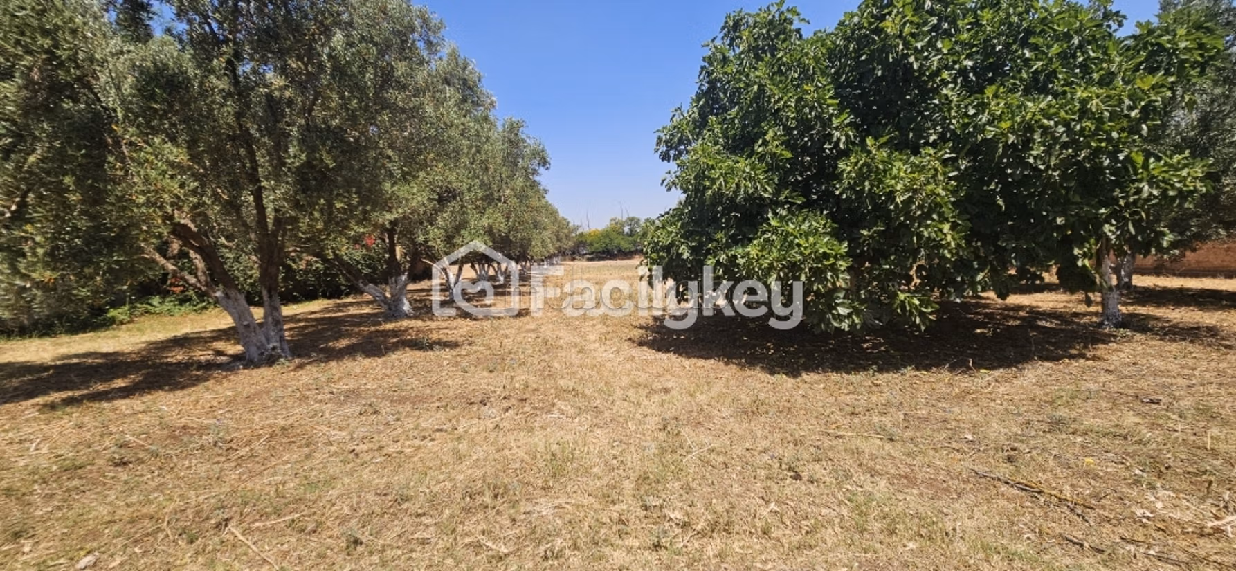 Finca de 10,332 m² en Berrechid