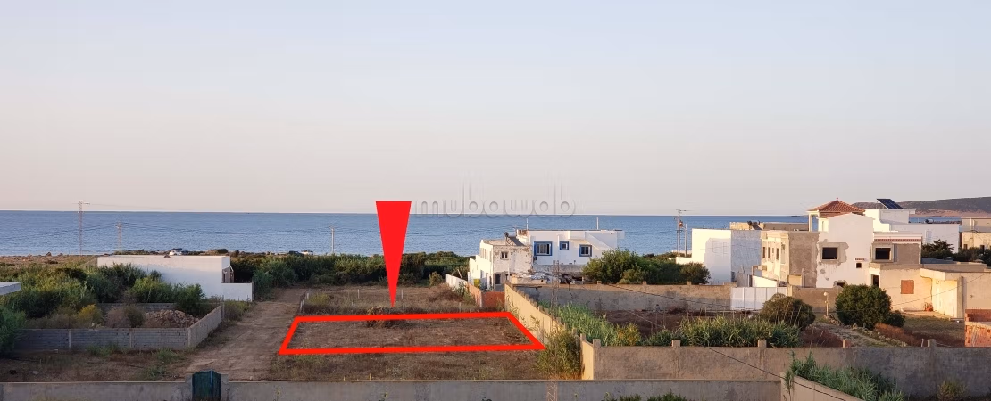Terrain à 100m de la Plage d'El Argoub El Haouaria