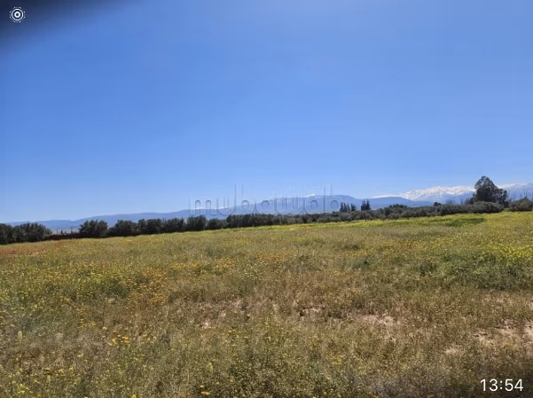 5000m2 deelbare grond