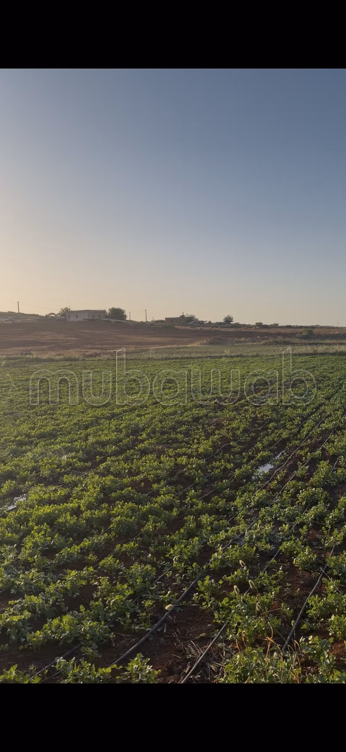 En venta terreno agrícola titulado de 2.55 ha El Hajeb